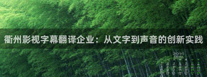 天龙影院网：衢州影视字幕翻译企业：从文字到声音的创新实践