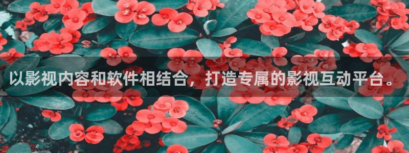 天龙家庭影院：以影视内容和软件相结合，打造专属的影视互动平台。