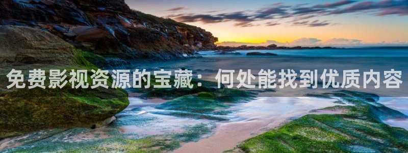 天龙影院tvb：免费影视资源的宝藏：何处能找到优质内容