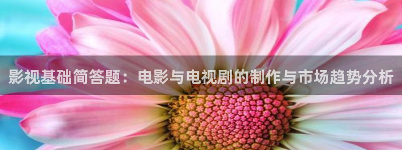 天龙影院远古：影视基础简答题：电影与电视剧的制作与市场趋势分析