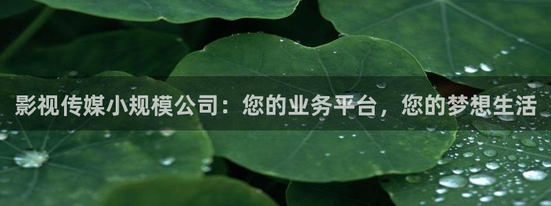 星海之外定档海报